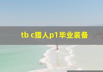 tb c猎人p1毕业装备